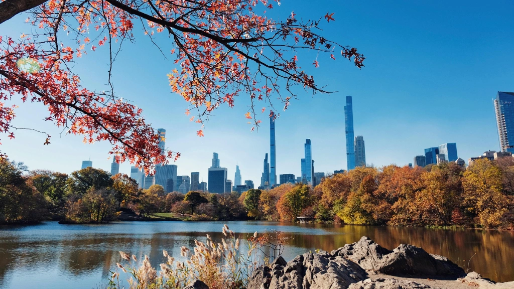 Vue sur le central Park. New York en 5 jours